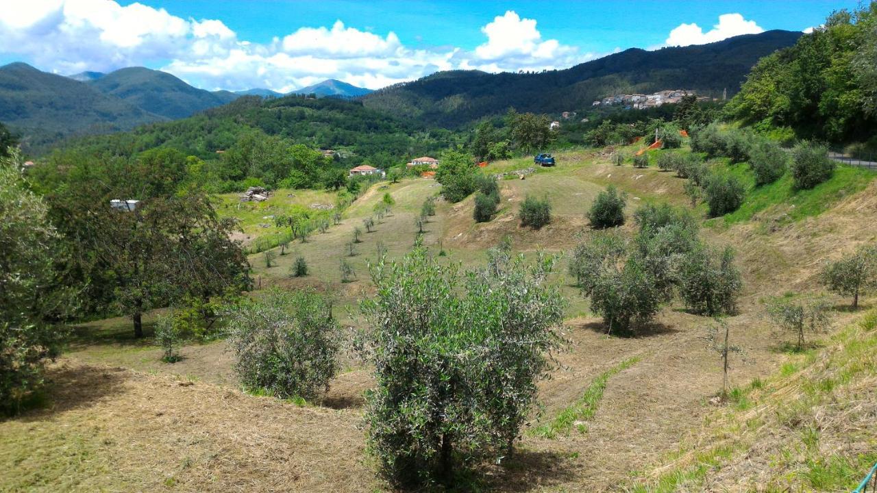 Agriturismo Tenuta Valletti. Sesta Godano Buitenkant foto